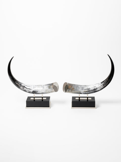 sculpture pair in natural horn handmade in italy by Zanchi