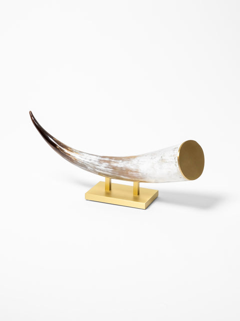 natural horn small sculpture with satin brass structure